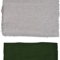 Rowenta Soleplate Cleaner Kit - ZD100D1 BBQ Cleaning Tools