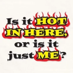 BBQ Accessories LA Imprints Attitude Apron - Is It Hot In Here