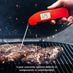 Thermoworks Thermapen ONE